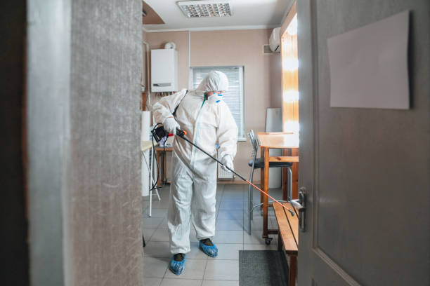 Kotzebue, AK Mold Removal Company