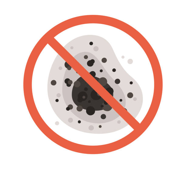 Best Environmental Consulting for Mold Prevention  in Kotzebue, AK